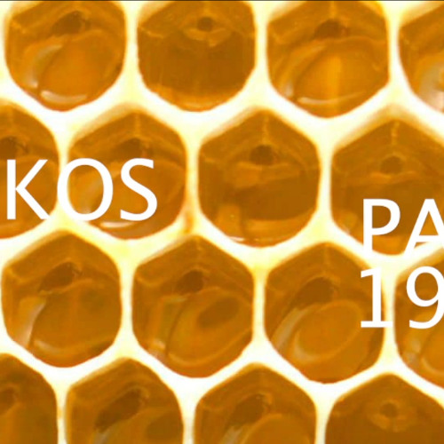 11.5.25 hexagon typings