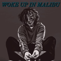 Woke Up In Malibu - 347Aidan