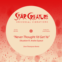 Never Thought I'd Get Ya (Dom Thompson Remix)