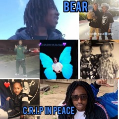 R.i.p Bear