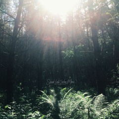 Bloom w/Liliomsaal (Stream on Spotify/Apple Music)