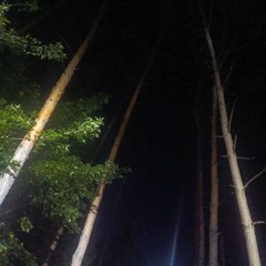 BANDITAS💣                               𝘀𝗹𝗼𝘄𝗲𝗱