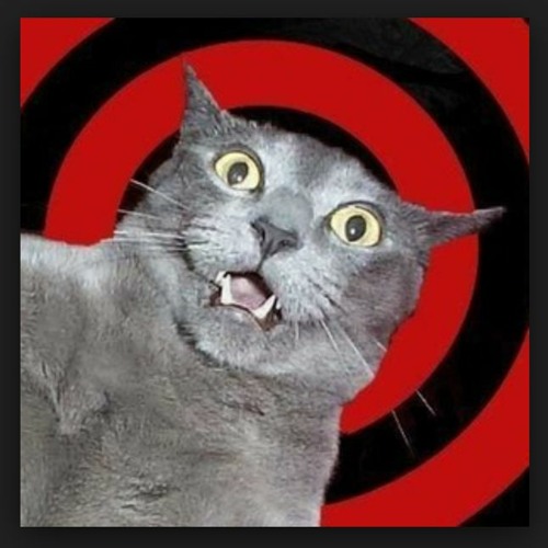 Strings & Electronic Things