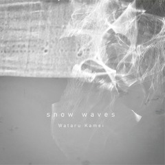 Snow Waves