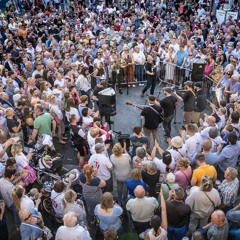 Wild Rover (Live On TG4)