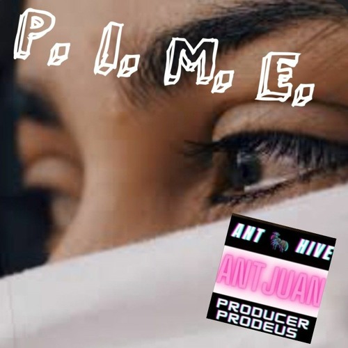 P. I. M. E.