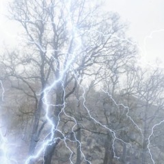 in my mind