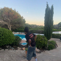 "Kcapevar" (reversed+reverb)