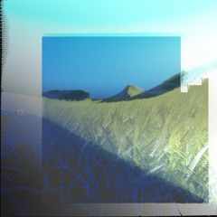 Perfect World