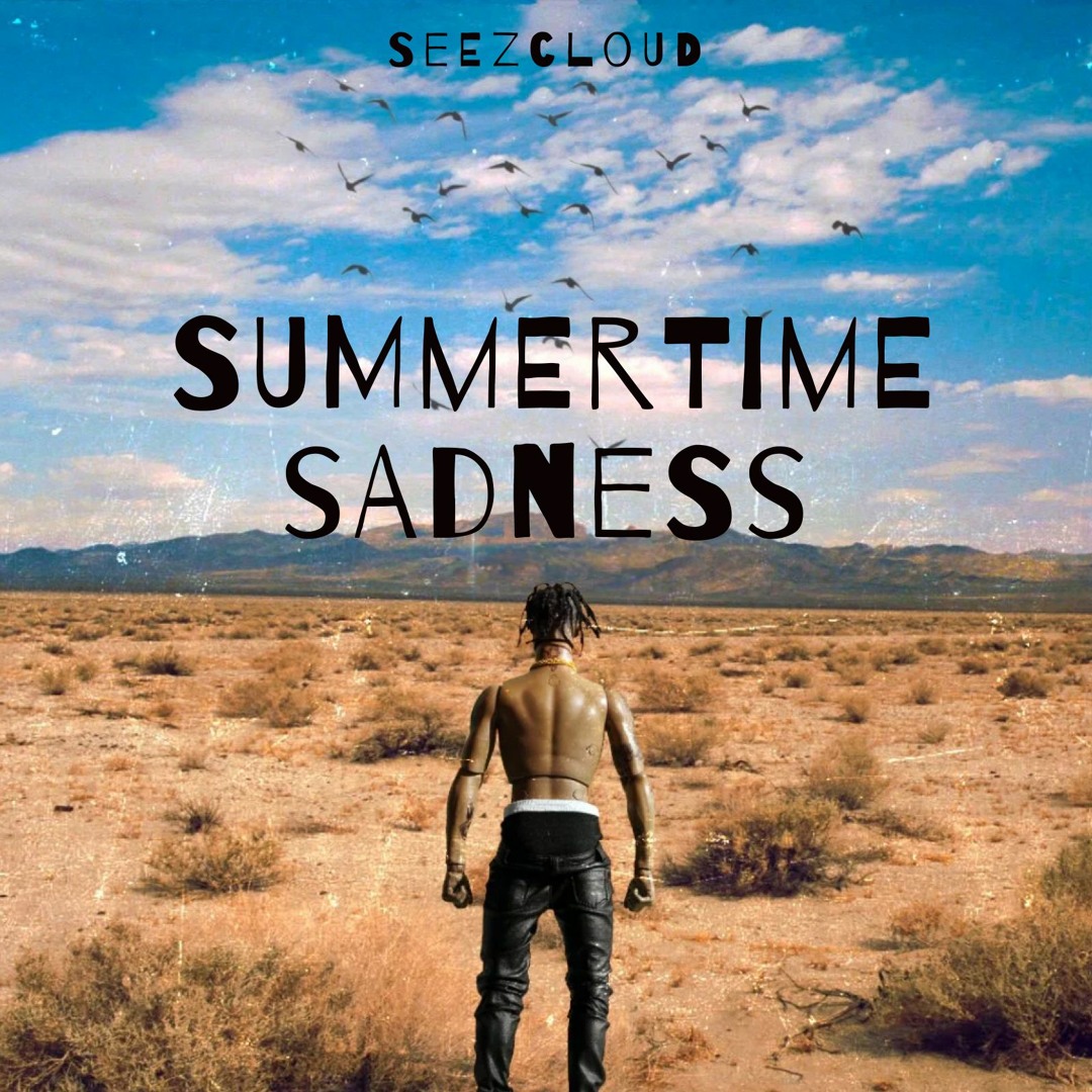 Stream Summertime Sadness Remix Ft. Drake & Lil Baby by SEEZ | Listen