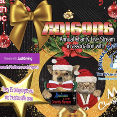 DJ Vinylmixer Madisons Christmas Charity Live Stream 17/12/22