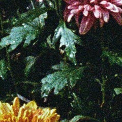 BUT DOES IT MATTER ?