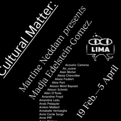 Cultural Matter: Diana McCarty on A Techno-Feminist alphabet