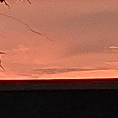 incase they stangin remix (tik tok song) (creator is @bamboonisdead)