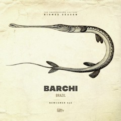 Barchi @ Newcomer #040 - Brazil