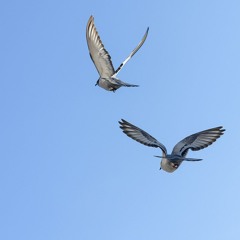 in your eyes/whatever comes