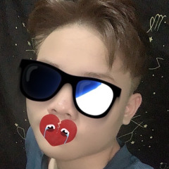 TIẾN LÊN VIỆT NAM - HOANGGIA REMIX