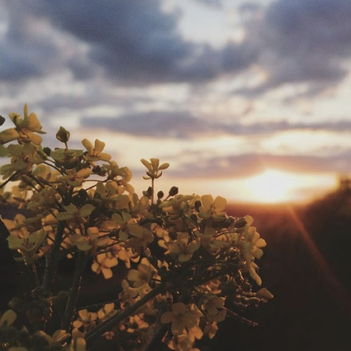 I Heard The Voice Of The Lord