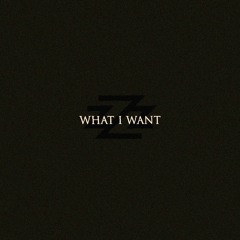 What I Want (Prod. By RicoRunDat)