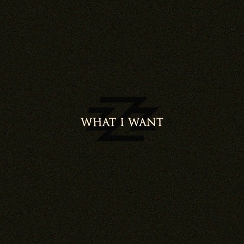 What I Want (Prod. By RicoRunDat)