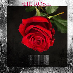THE ROSE [Interlude]