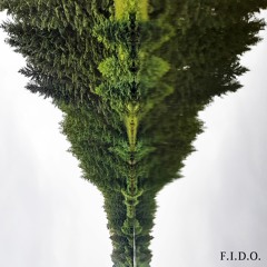 F.I.D.O.