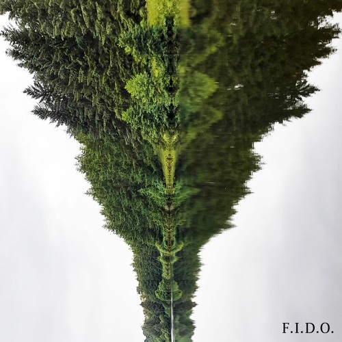 F.I.D.O.