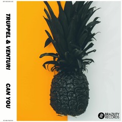 Truppel  E Venturi - Can You
