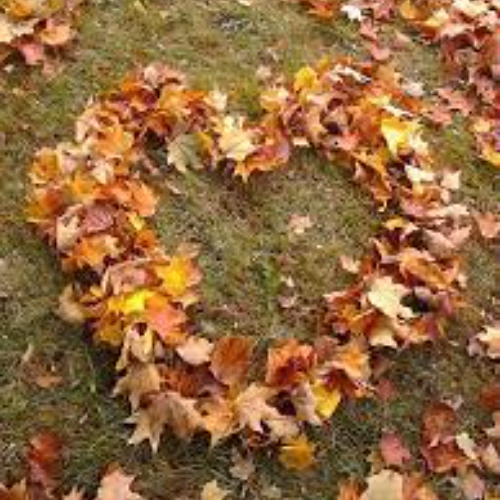 Autumn