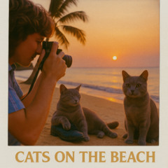 Cats on the Beach