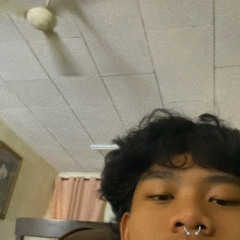 Xlate night freestyleX