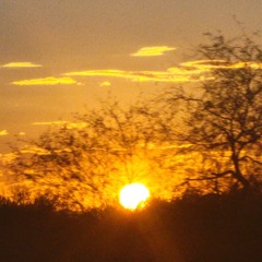 When All Around My Sky is Falling