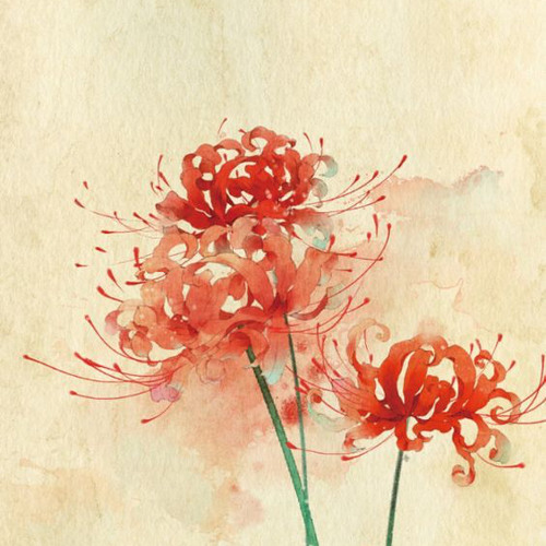 Đa Tình 《多情种》 (Yếu Bất Yếu Mãi Thái)
