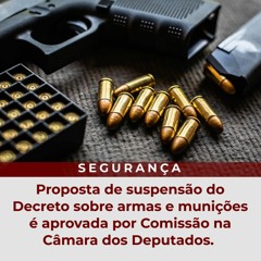 Proposta de suspensão do Decreto sobre armas e munições é aprovada por Comissão na Câmara dos Deput.