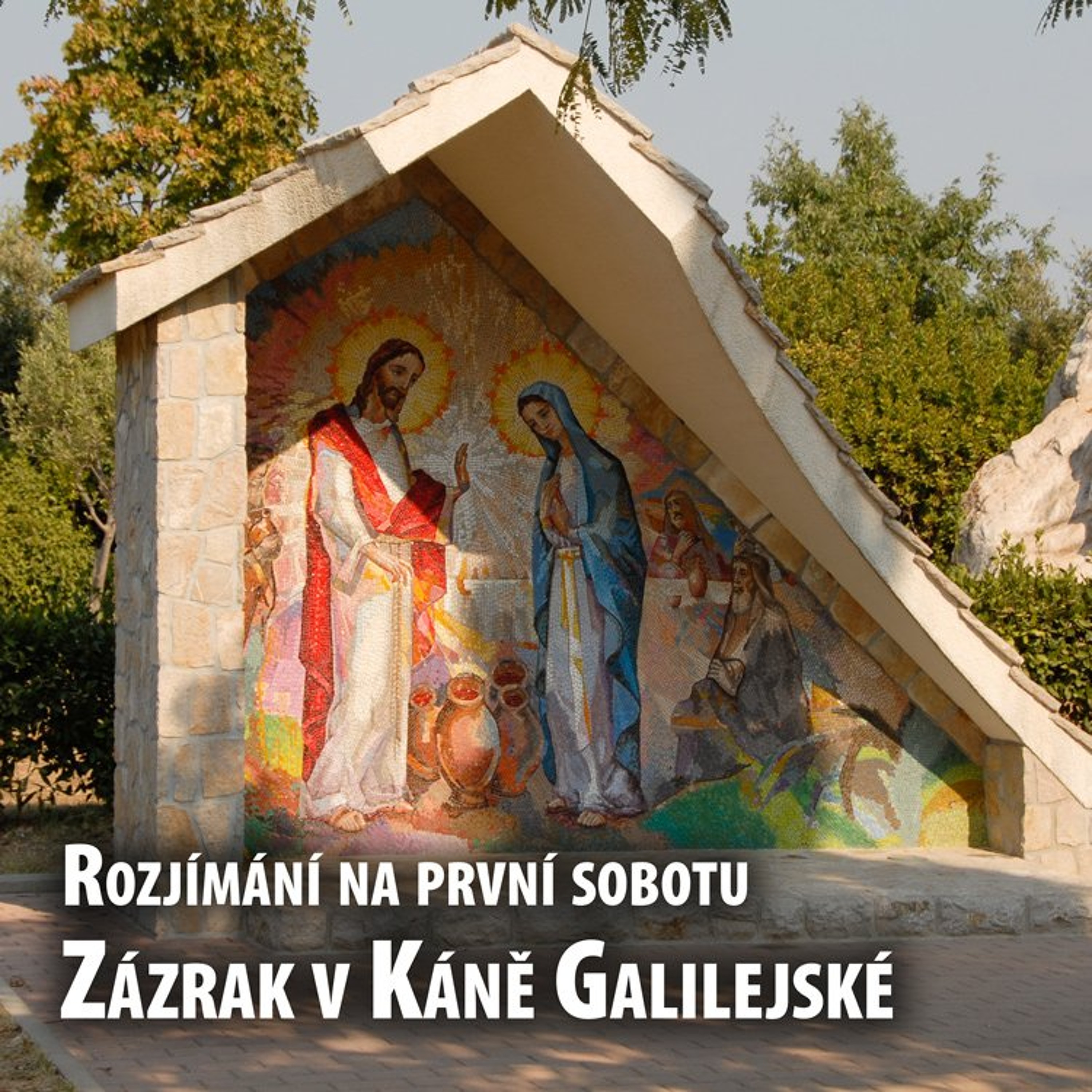 Časopis Immaculata