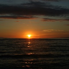 TDJ2 - Recording 2024 - 06 - 15 2315 - 2337