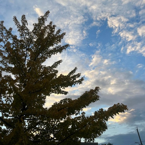 she said write it all down before you forget