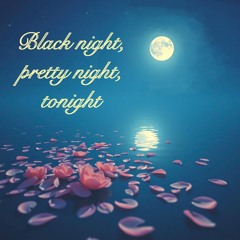 Black night, pretty night ,tonight 2