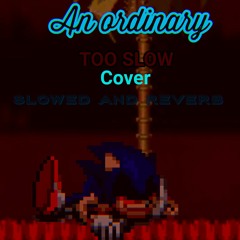 FNF - An Ordinary Too Slow Cover slowed and reverb