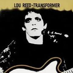 Walk on the wild side  (Lou Reed cover)