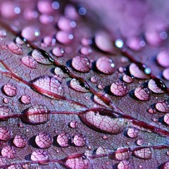 Rain Sounds for Sleep