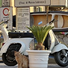 dreams of brasil 136