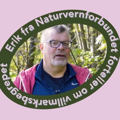 Erik fra Naturvernforbundet forteller om villmarksbegrepet
