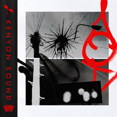 5 - Ecilant - Spiritual Pt.5 (ft. Spirit)