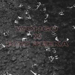 Boo Seeka - Finish What You Started (Wongo Remix)