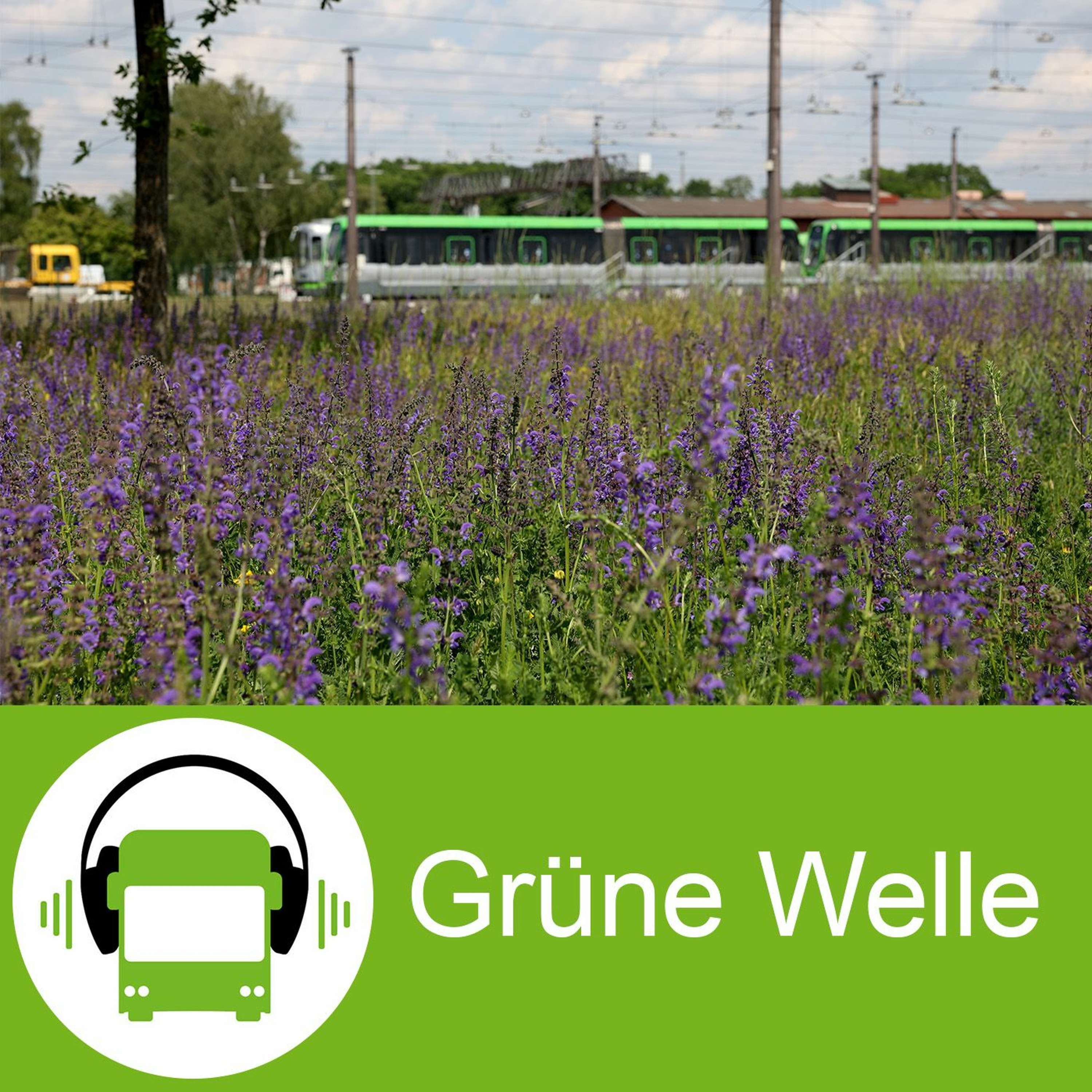 ÜSTRA Grüne Welle