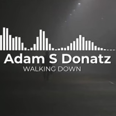 Adam S Donatz - WALKING DOWN
