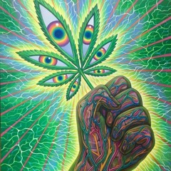 DEBATE - PUNTO DE VISTA. RIESGOS Y BENEFICIOS DEL CONSUMO DE CANNABIS