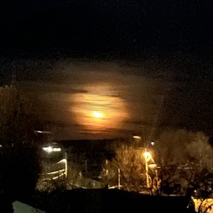 Party (Prod. SOGIMURA)