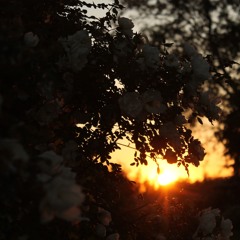 the messier things we hide from the light